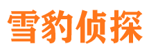 武功外遇调查取证